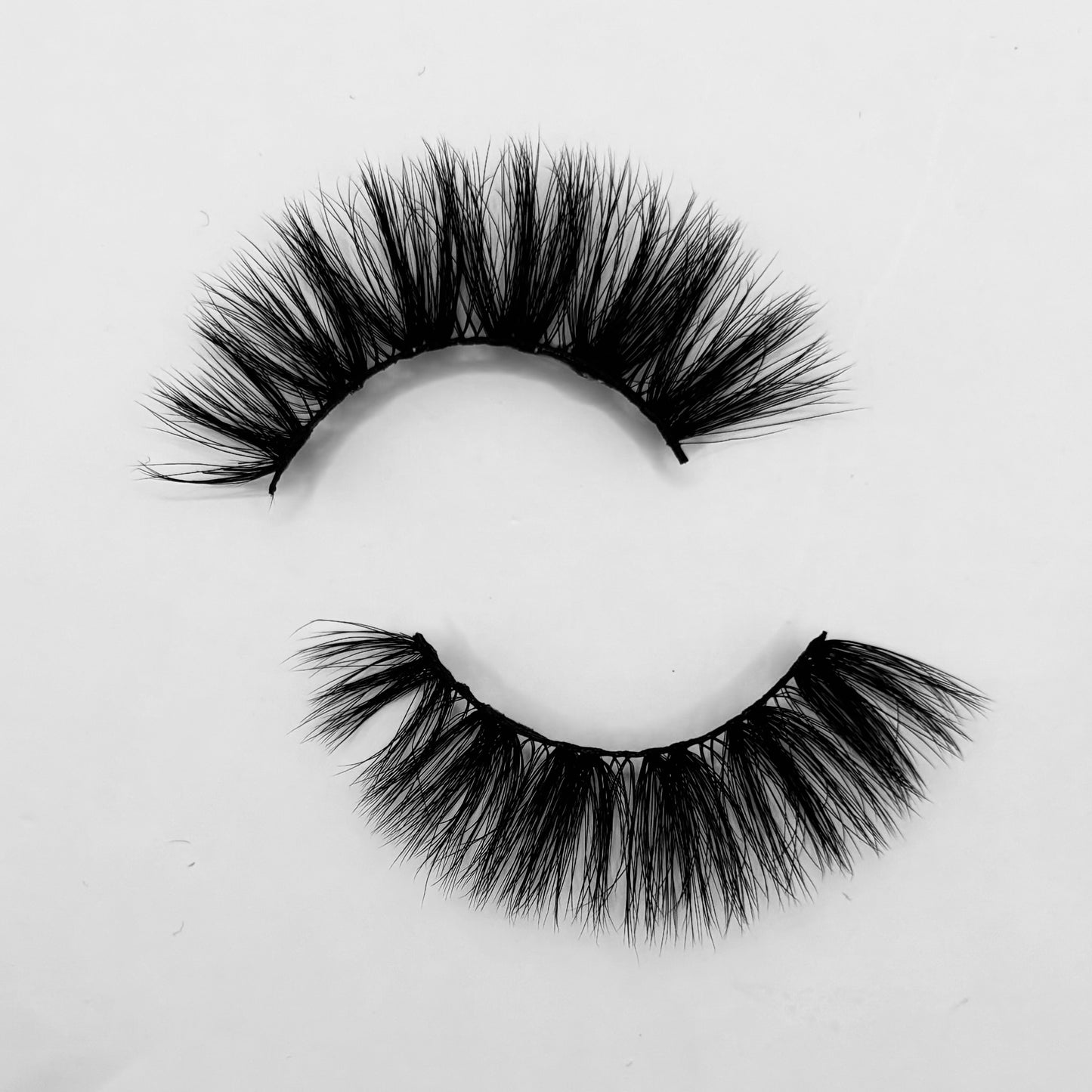'Presence' Strip Lash