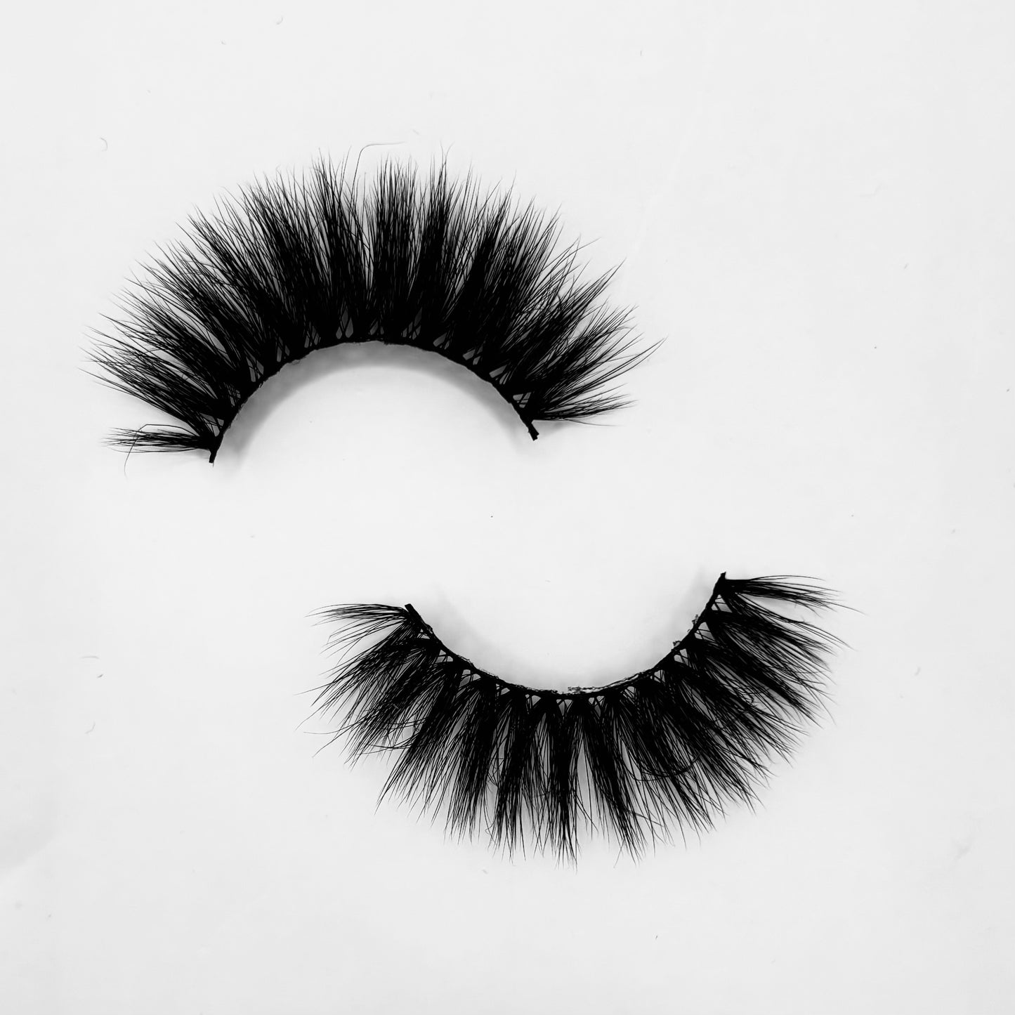 'Transcend' Eyelash