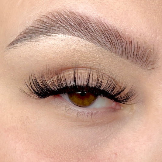 'Presence' Strip Lash