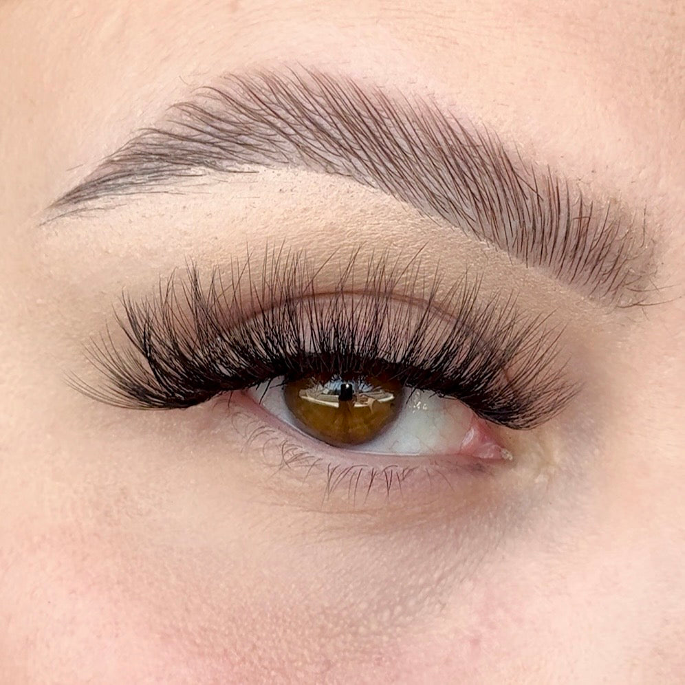 'Transcend' Strip Lash