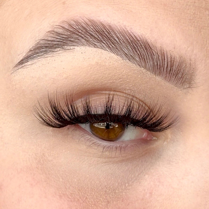 'Acceptance' Strip Lash