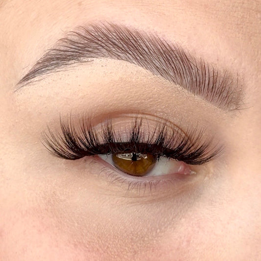 'Acceptance' Strip Lash