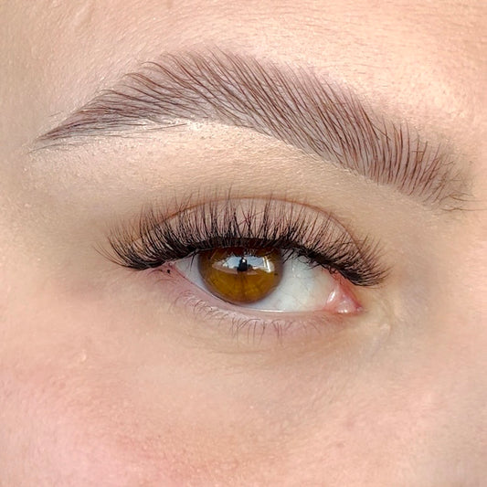 'Harmony' Strip Lash